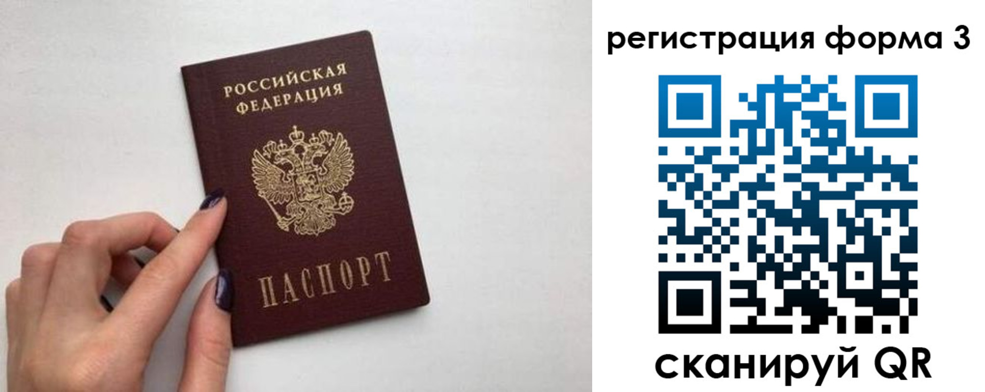 прописка законно в Павловске